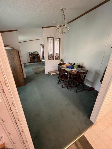 8945 Seneca Trail Mill Creek WV 26280