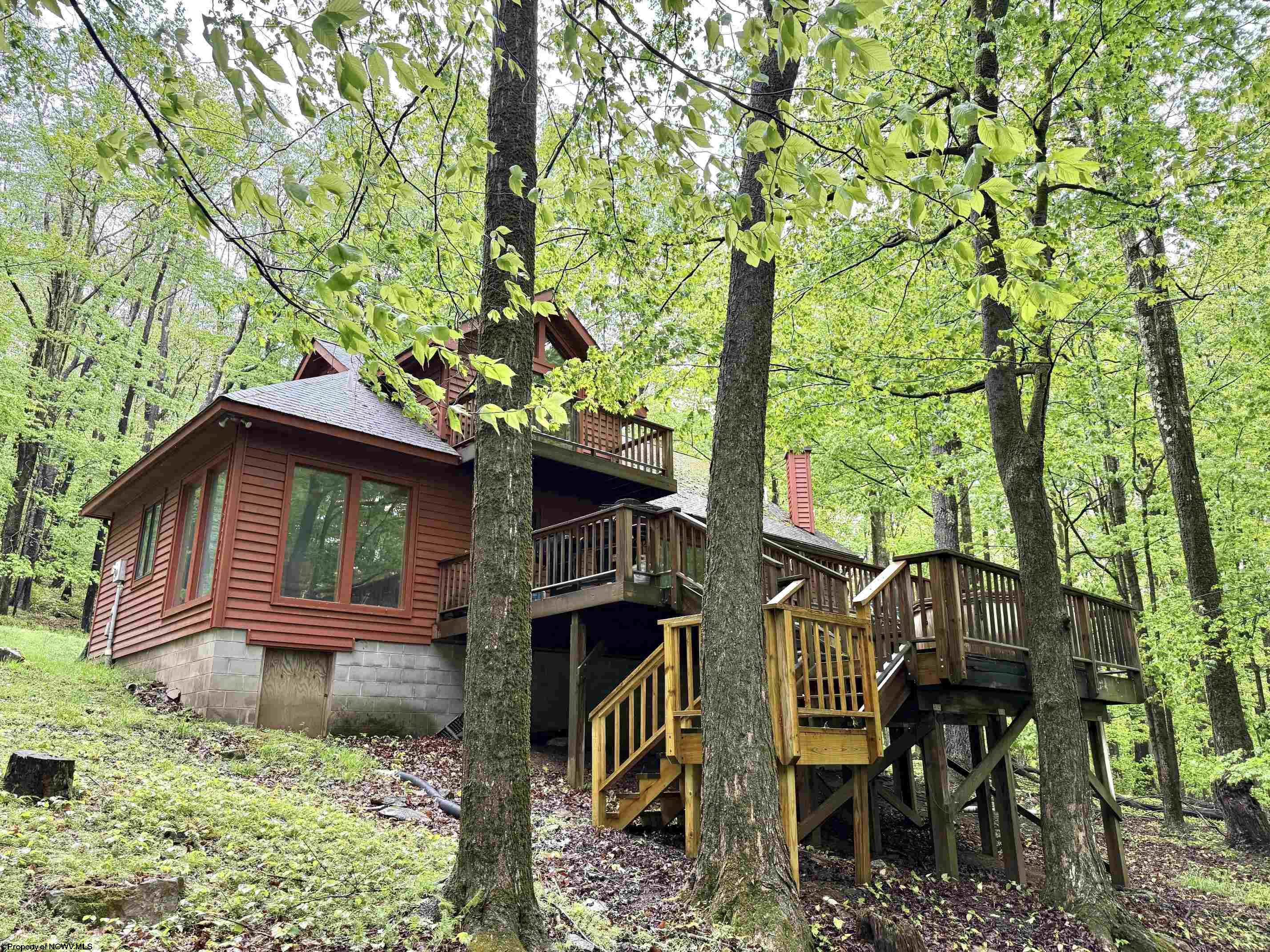 785 Ridge Road Davis WV 26260