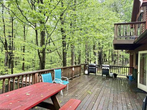 785 Ridge Road Davis WV 26260
