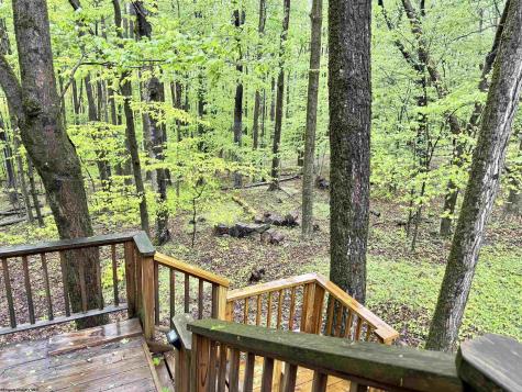 785 Ridge Road Davis WV 26260