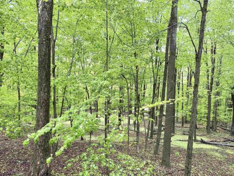 785 Ridge Road Davis WV 26260