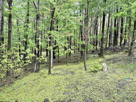 785 Ridge Road Davis WV 26260