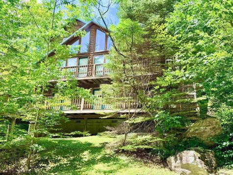 22 Snow Run Road Davis WV 26260