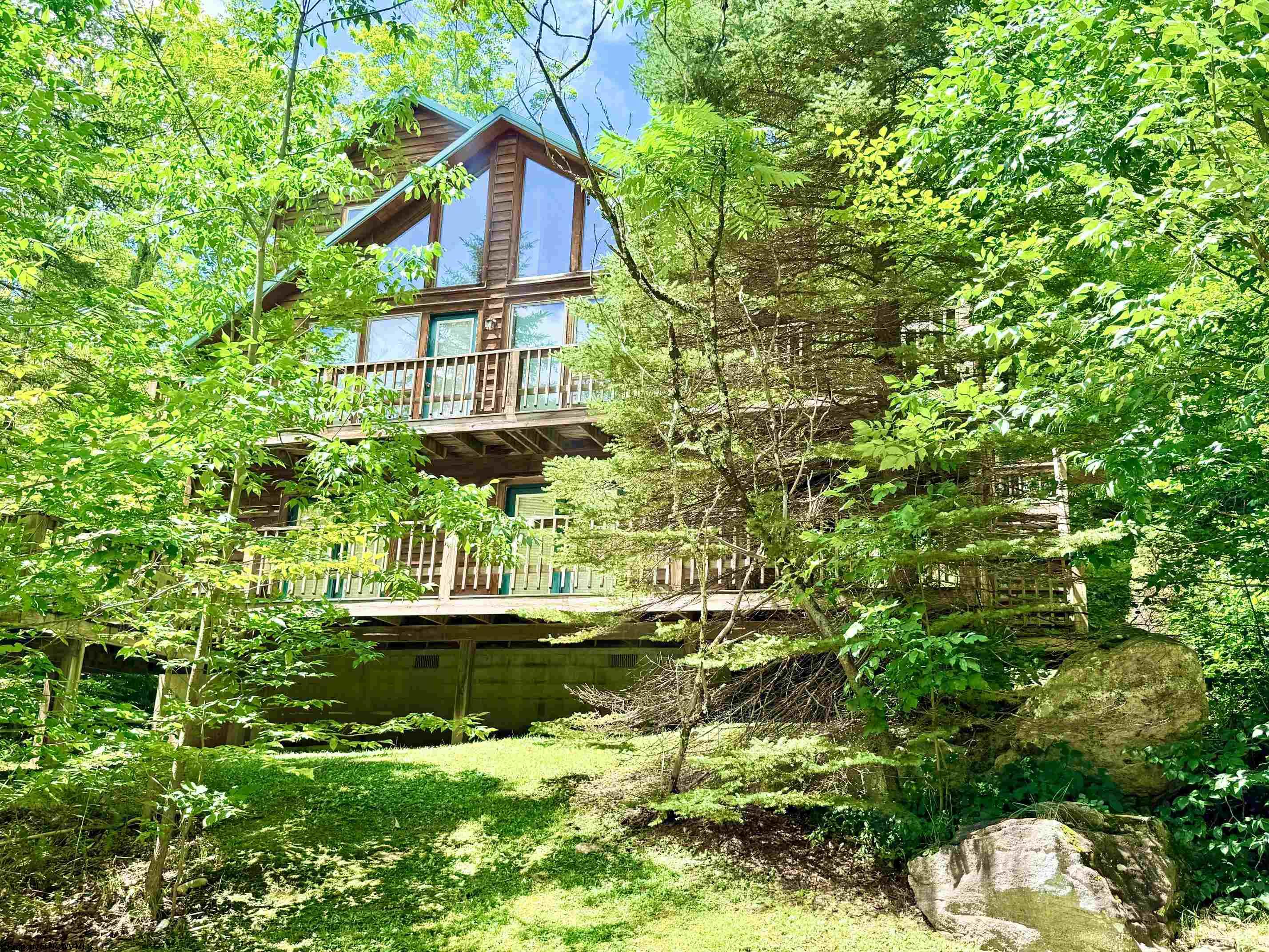 22 Snow Run Road Davis WV 26260