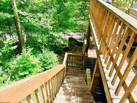 22 Snow Run Road Davis WV 26260