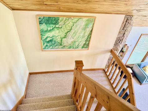 22 Snow Run Road Davis WV 26260