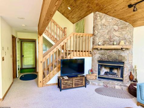 22 Snow Run Road Davis WV 26260