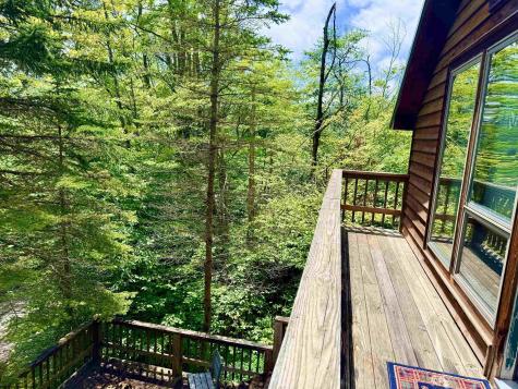 22 Snow Run Road Davis WV 26260