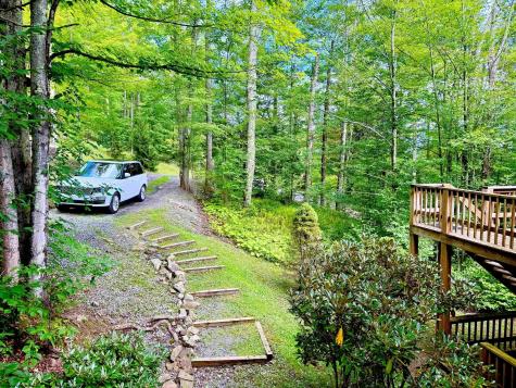 22 Snow Run Road Davis WV 26260