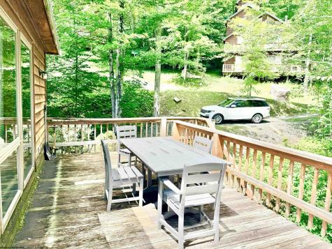 22 Snow Run Road Davis WV 26260