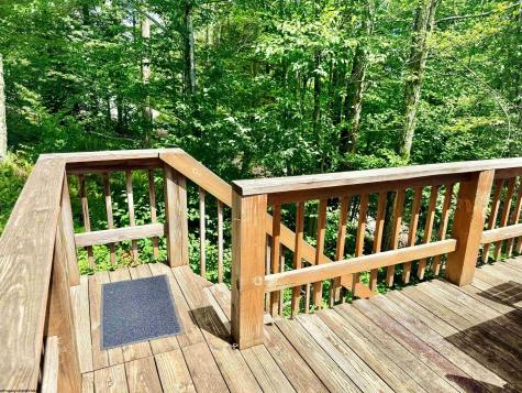 22 Snow Run Road Davis WV 26260