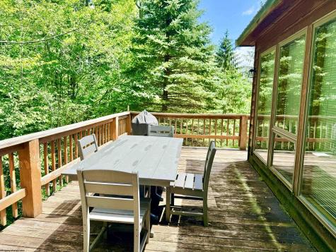 22 Snow Run Road Davis WV 26260