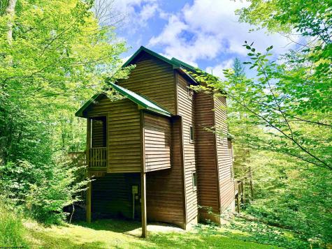 22 Snow Run Road Davis WV 26260