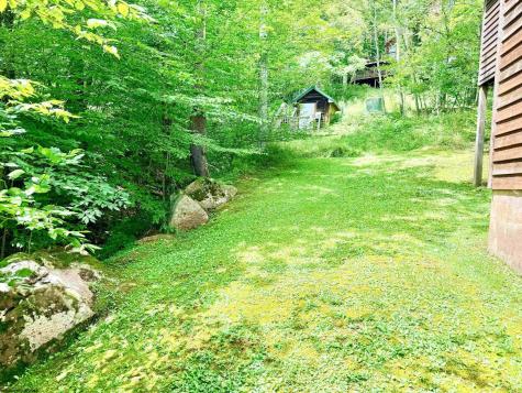 22 Snow Run Road Davis WV 26260
