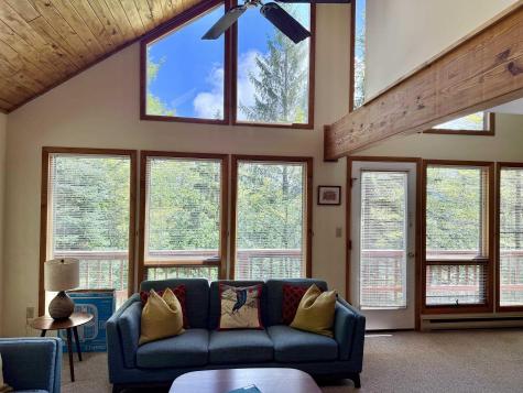 22 Snow Run Road Davis WV 26260