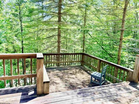 22 Snow Run Road Davis WV 26260