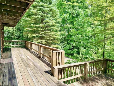 22 Snow Run Road Davis WV 26260