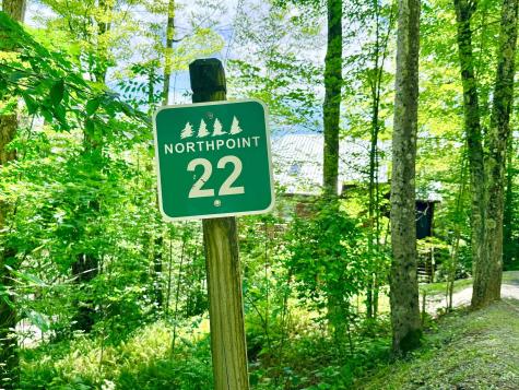 22 Snow Run Road Davis WV 26260