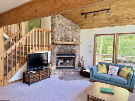 22 Snow Run Road Davis WV 26260