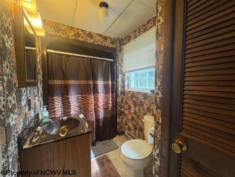 52 Howesville Drive Tunnelton WV 26444
