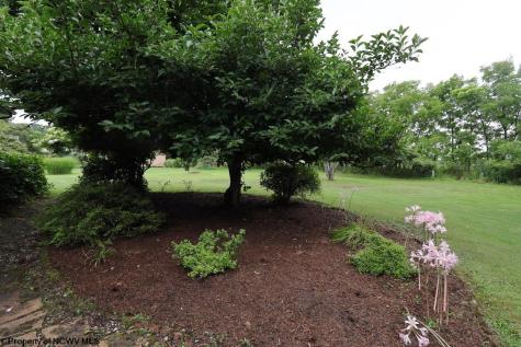 279 Hillcrest Drive Elkins WV 26241