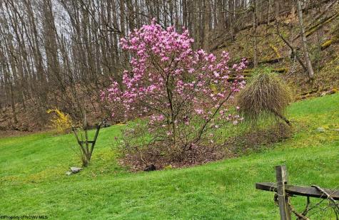 489 Slab Camp Road Independence WV 26374