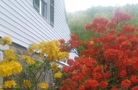 489 Slab Camp Road Independence WV 26374