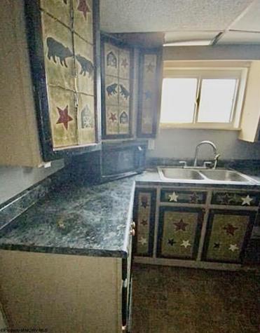 515 Central Street Elkins WV 26241