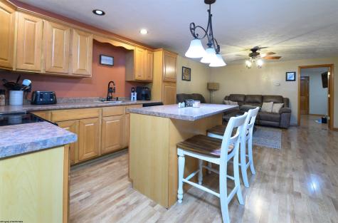 274 Horseshoe Drive East Bruceton Mills WV 26525