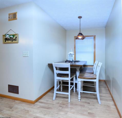 274 Horseshoe Drive East Bruceton Mills WV 26525