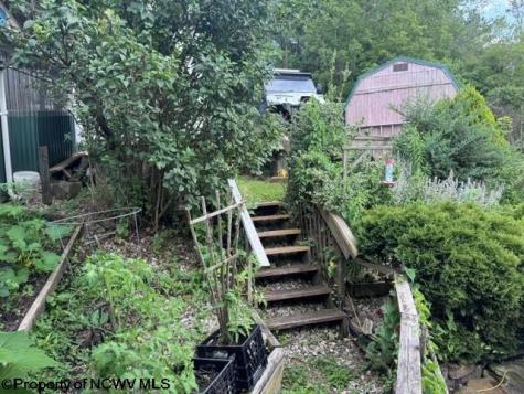 138 Brown Street Thomas WV 26292