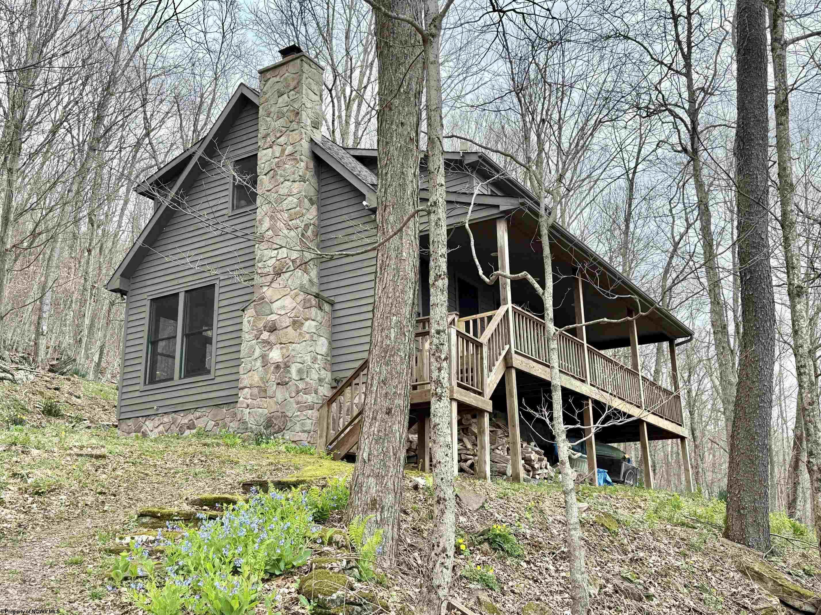155 Meadows Road East Harman WV 26270