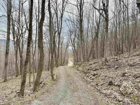 155 Meadows Road East Harman WV 26270