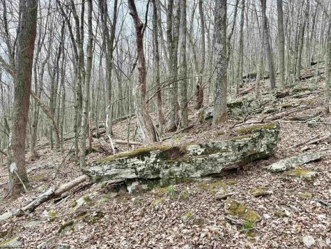 155 Meadows Road East Harman WV 26270