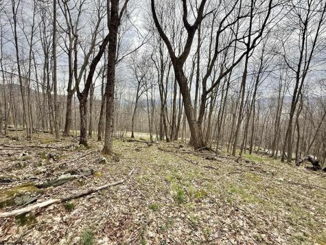 155 Meadows Road East Harman WV 26270