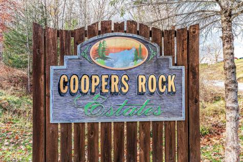 78 Coopers Rock Drive Bruceton Mills WV 26525