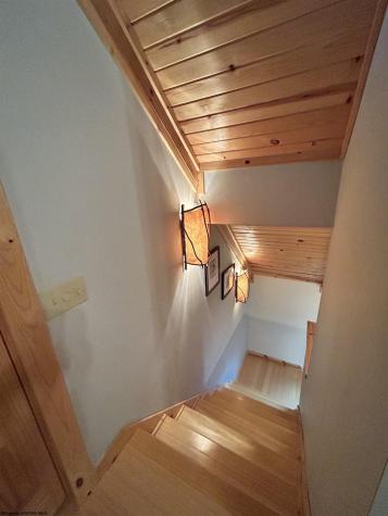 26 Whitetail Way Davis WV 26260