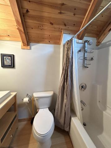 26 Whitetail Way Davis WV 26260