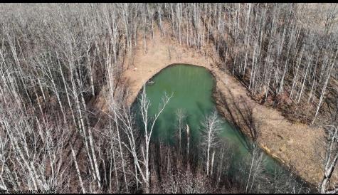 12194 Route 20 South Road Rock Cave WV 26234