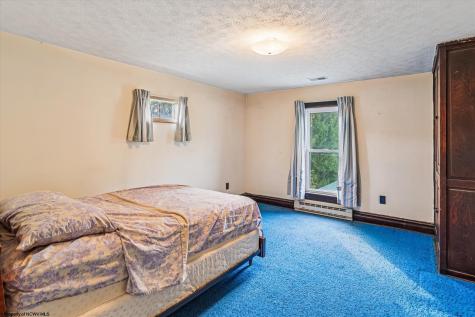 28 Crestview Drive Hambleton WV 26269