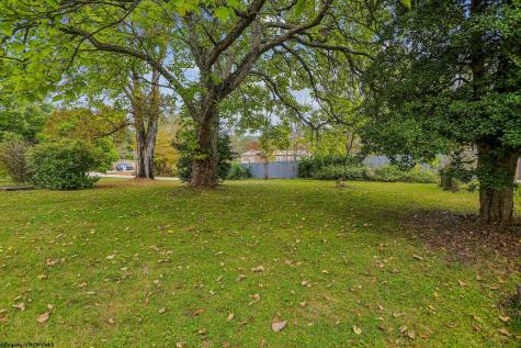 28 Crestview Drive Hambleton WV 26269