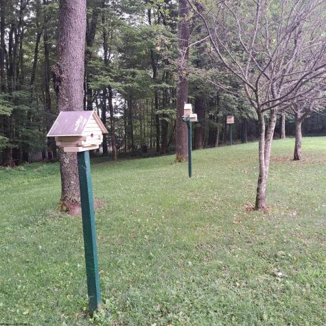 182 Hill Circle Terra Alta WV 26764