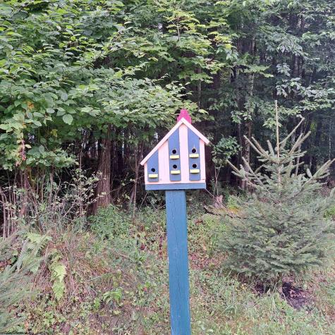 182 Hill Circle Terra Alta WV 26764