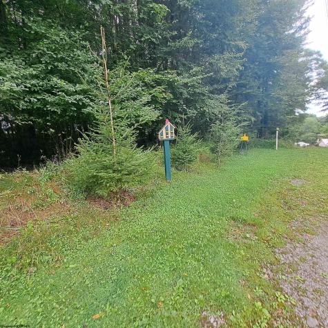 182 Hill Circle Terra Alta WV 26764