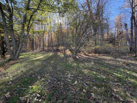 209 Pruntytown Pike Grafton WV 26354