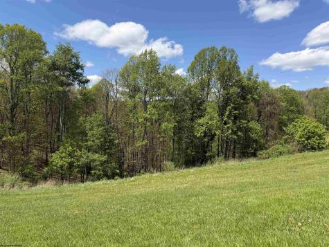 4397 Location Road Parsons WV 26287