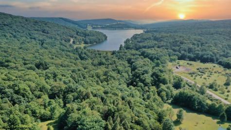 17 Goldfinch Lane Terra Alta WV 26764