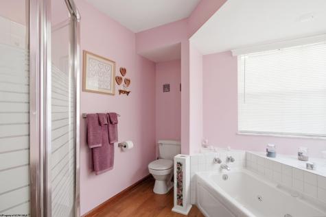 15 Homestead Street West Union WV 26456