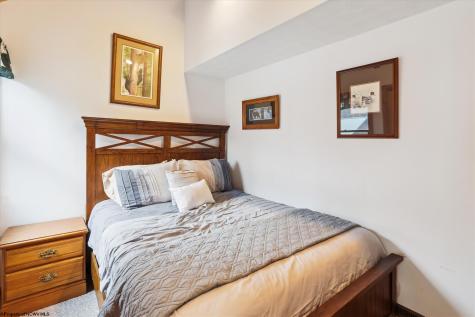 404 Black Bear Trail Davis WV 26260