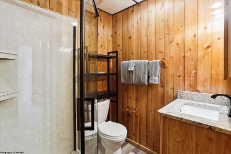 404 Black Bear Trail Davis WV 26260